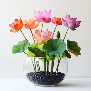 10PCS Mixed Color Lotus Flower Seeds – Easy to Grow，Simple Care，Exotic Aquatic Plant for Indoor & Outdoor Gardens，Water Lily Pink Decorative