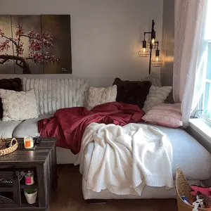 Product Review of The Ice Blanket from T**❌