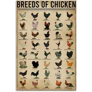 Vintage Chicken Breeds Aluminum Sign, Retro Wall Art for Coffee Shops, Bars, Restaurants, Kitchens, Farms, Chicken Coops & Home Decor, Rustic Farmhouse Design, farmhouse ornaments, Vintage Garage Signs