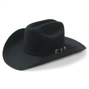 Stetson Skyline 6x Western Cowboy Hat