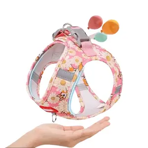 Adorable Vest-Style Leashes for Small Breeds Like Teddy And Bichon Puppies, Featuring a Charming Chest Harness And Accompanying Leash clip