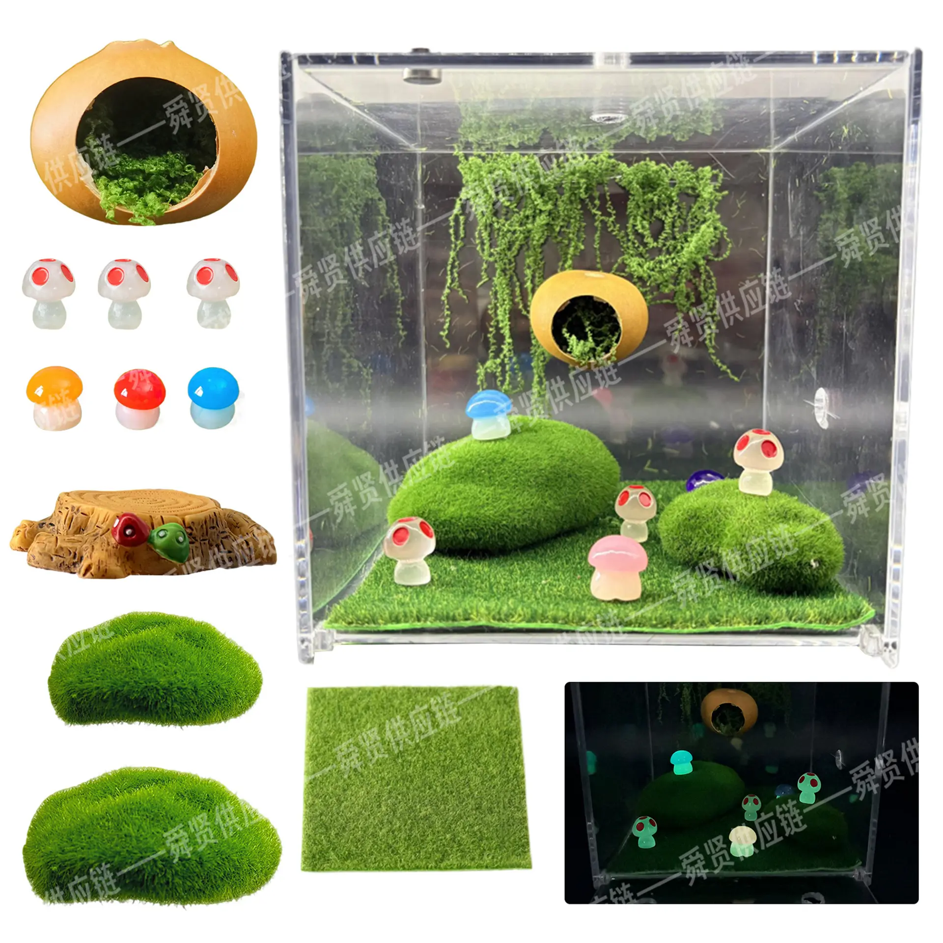 11-Piece Magnetic Jumping Spider Enclosure Ornaments Kit - Glow-in-the-Dark Mini Tiny Mushrooms, Nut Hideout, Smooth Green Moss-Lined Rocks - Stress-Reducing Space-Saving Reptile Tank Landscaping (Acrylic Case Not Included)