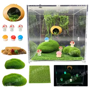 11-Piece Jumping Spider Enclosure Decor Kit: Glow-in-the-Dark Mushrooms + Nut Hideout + Moss Rocks| Reptile Tank Landscaping（Acrylic case not included）