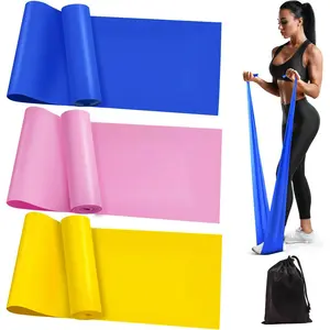 Resistance Band Set, 3 Counts/set Resistance Band & Storage Bag & Instruction, Fitness Equipment for Home Gym Workout, Exercise Bands for Physical Therapy