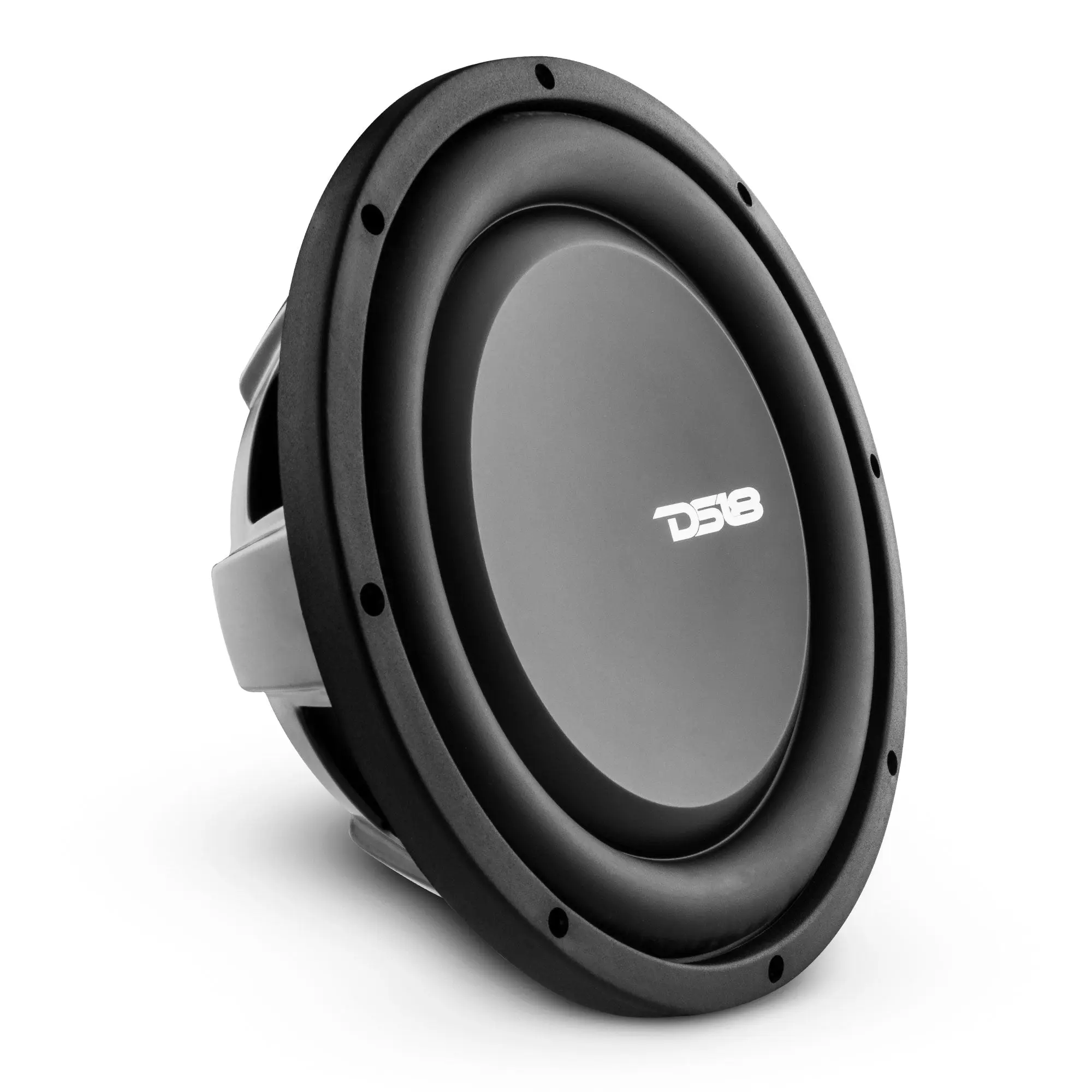 DS18 Car Audio Subwoofer, 10" Shallow-Mount Water-Resistant Subwoofer, 500W RMS DVC 4-Ohm