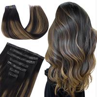 #1B/6/1B Balayage Natural Black to Chestnut Brown