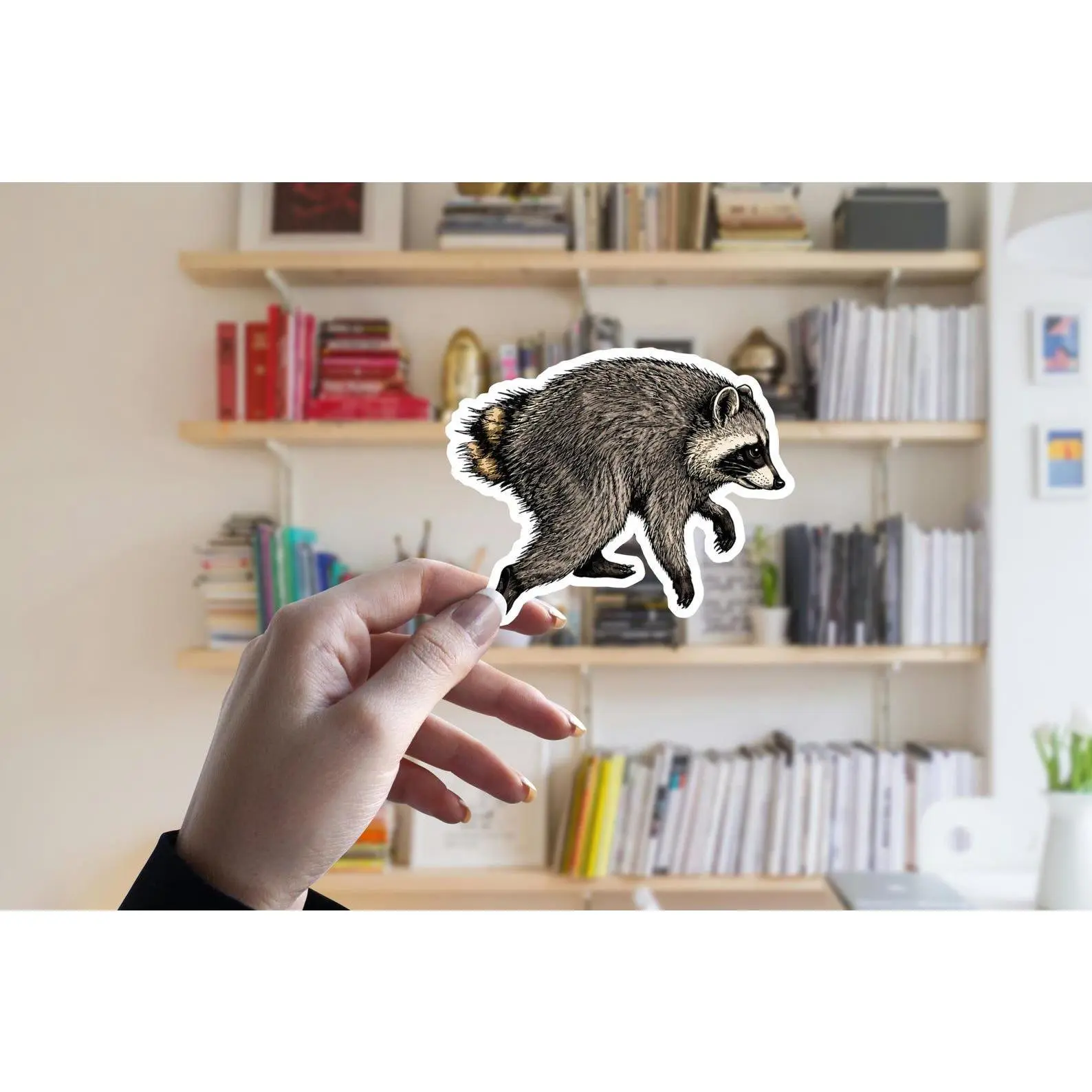 Jimothy Seattle Raccoon Sticker, Durable Vinyl Decal, Cute PNW Animal Sticker, Seattle Gift, Laptop and Water Bottle Decor