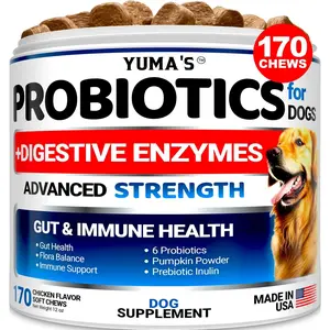 Probiotics For Dogs And Digestive Enzymes 170 Dog Probiotics Chews Pet Fiber Supplement Anti Diarrhea Upset Stomach & Gas Relief Constipation Canine Prebiotic