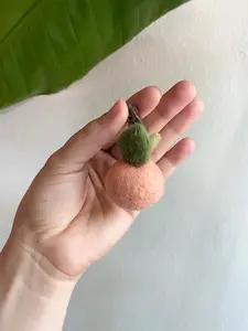 Peach Clip-on Reusable Oil Diffuser