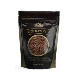 Cordyceps Sinensis 100g Extract Vida Divina for Immune System Support, Aging, and Free Radical Protection in Single Item - Chinese, Healthcare  Vitamin Supplement Fitness Dietary