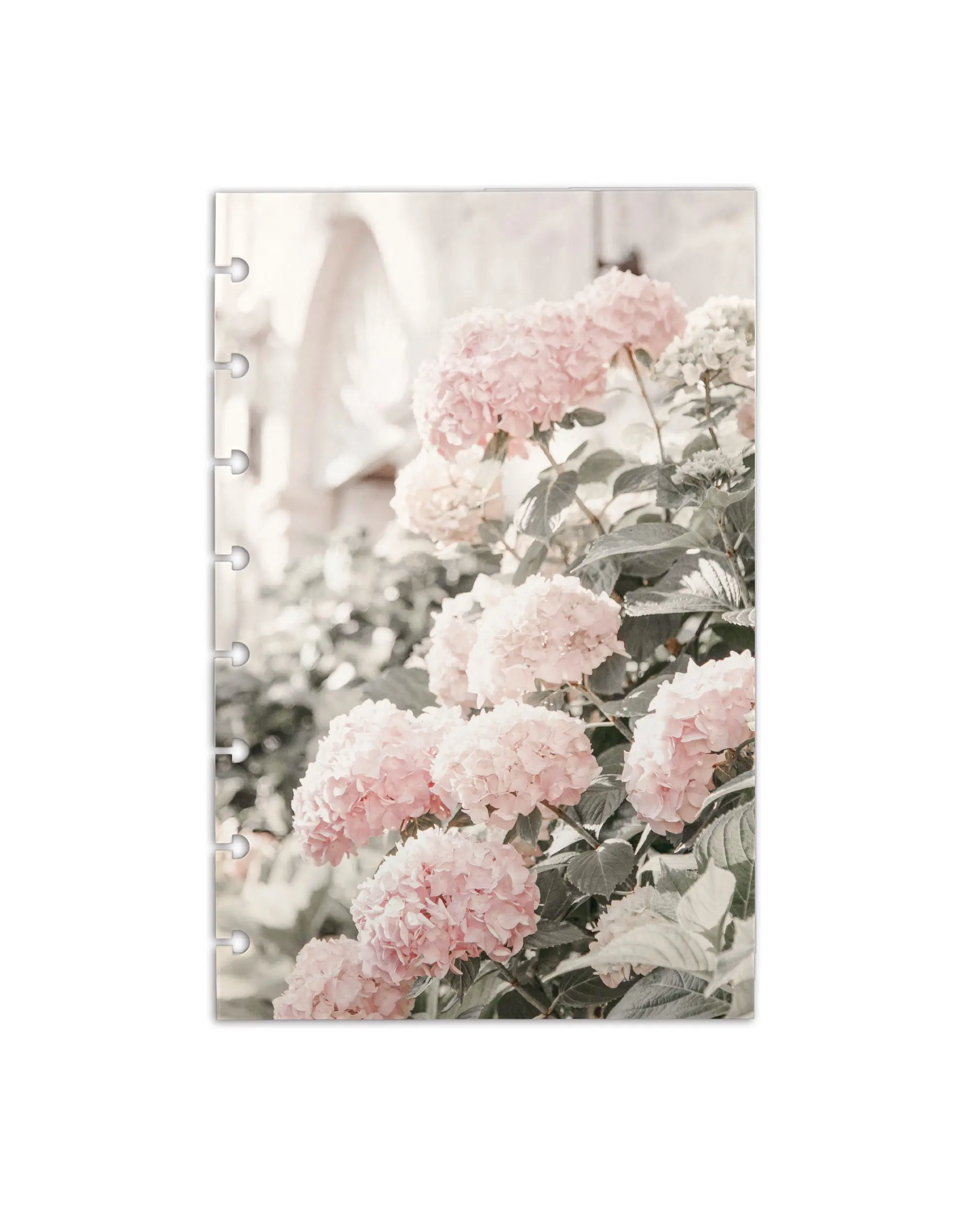 Planner Dashboard | Hydrangeas