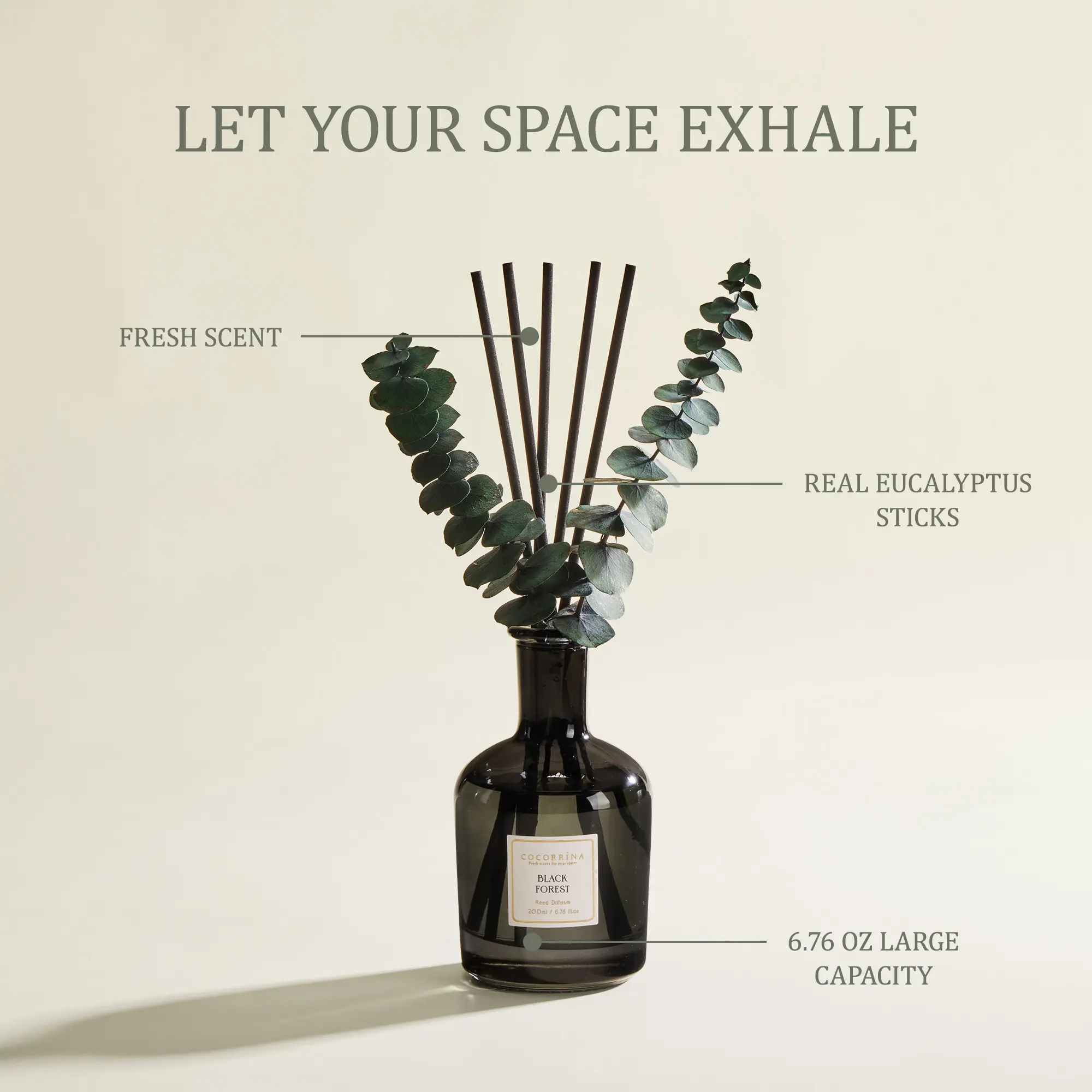 COCORRÍNA Black Forest Reed Diffuser, 6.76 oz | Real Dried Eucalyptus Leaves, 8 Reeds, Long-Lasting Essential Oil, Home Fragrance, Bedroom or Bathroom Décor