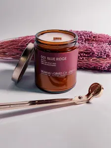 001 Blue Ridge Hummingbird Candle Co Eco Lux Coconut Wax & Wood Wick Candle