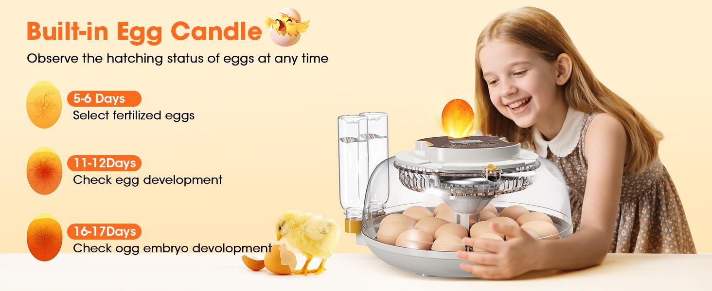 18 Egg Incubator with Automatic Egg Turning & Humidity Control, Built-in Egg Candler, 360° View Window & Dual-Size Trays for Chicken, Duck, Quail, Goose Eggs – Ideal for Farm, Classroom, Home Kitchen