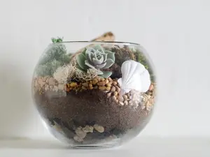 Succulent Terrarium Kit, Succulent Terrarium, DIY Terrarium Kit, Succulent Gift Box Boyfriend Gift DIY Plant Kit Thank You Gift Office Décor