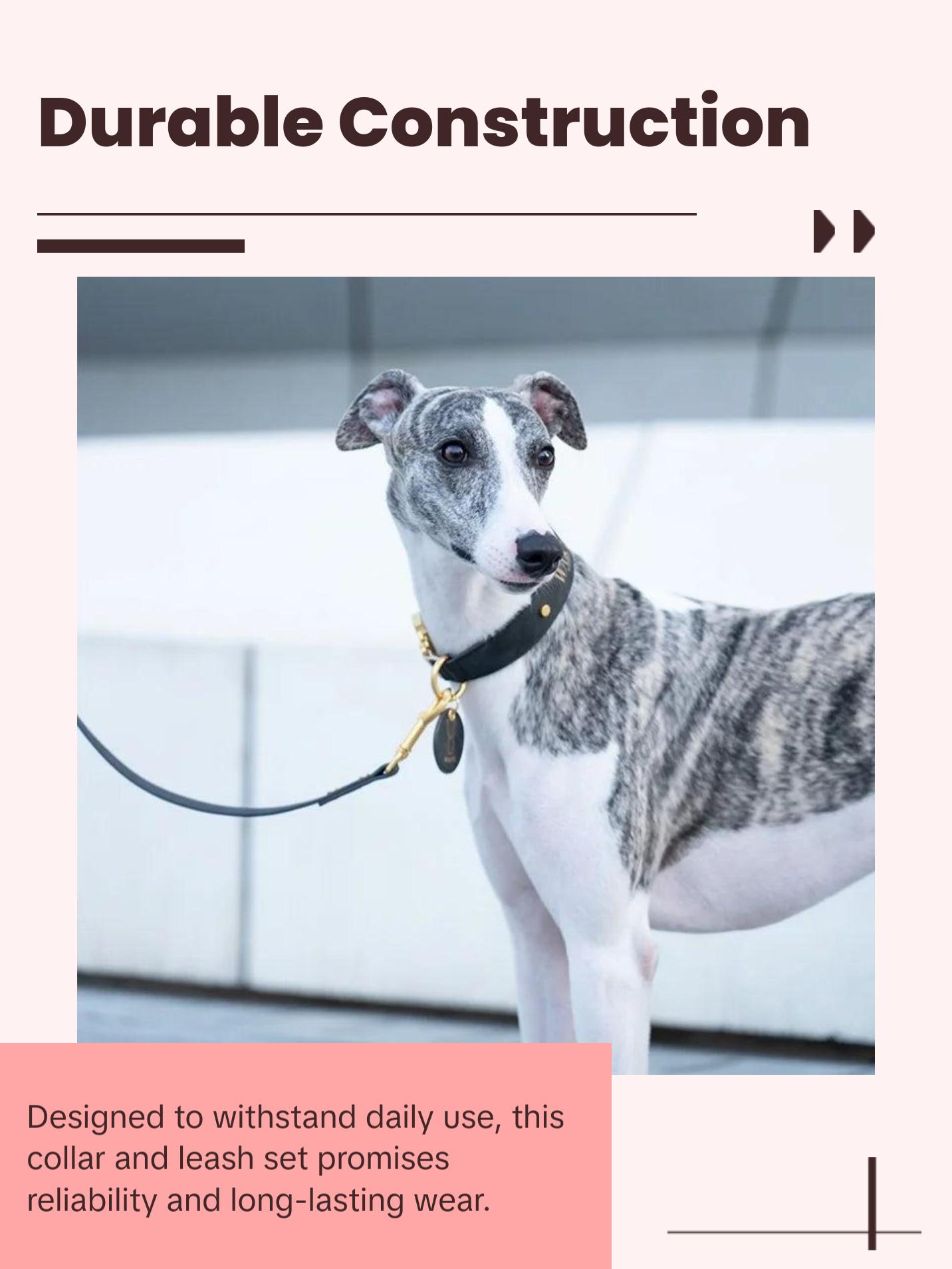 Luxury Leather Dog Collar & Leash with Padded Handle