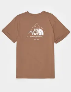 THE NORTH FACE Biner Graphic 4 Mens Tee