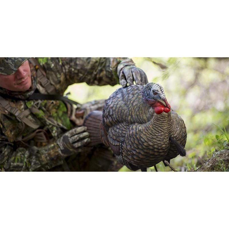 LCD Half-Strut Jake Turkey Decoy| Durable Realistic Lifelike Collapsible Standing Hunting Decoy with Carry Bag & Stake, AVX8012 Solar Trail Camera Phone Alerts