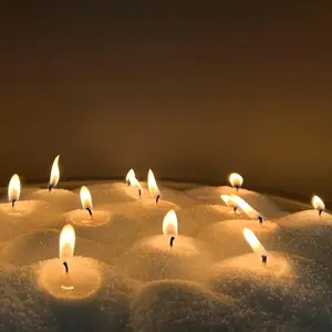 White Pearled Candle Wax for DIY Candle Making, 26Oz Customized Powdered Candle Sand All Natural Refillable Pourable Wax Beads for Halloween Thanksgiving Christmas Wedding Party (No Wick)