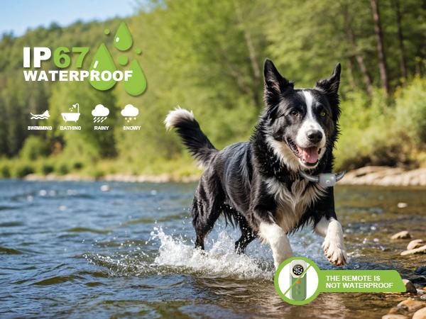 2026 Upgraded Dog Training Collar with Remote, 3 Training Modes Waterproof Rechargeable E-Collar for Dogs