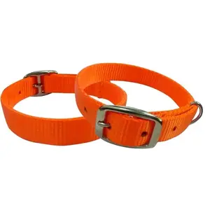 Orange nylon dog collar.