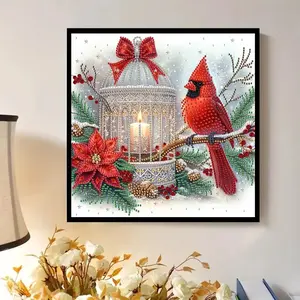 Adult DIY Diamond Painting Kit, Bird Series Colorful Pattern, Irregular Shape Crystal Art, Perfect Holiday Gift, 30x30 Cm Unframed