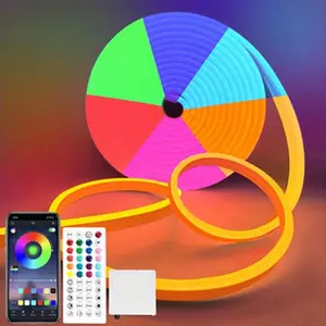 5m Neon LED Strip Lights 16.4ft, Flexible LED Neon Lights, Dimmable RGB LED Neon Rope Lights With Remote Control, Multiple Modes For Home Bedroom Indoor Outdoor Decor