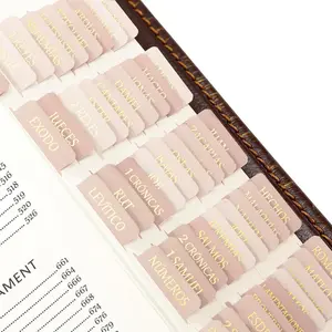Spanish Laminated  Tabs/Pestanas para Biblia en Espanol - Repositionable Large Print Stickers - Biblia De Estudio Study Journaling Supplies for Women and Men ()