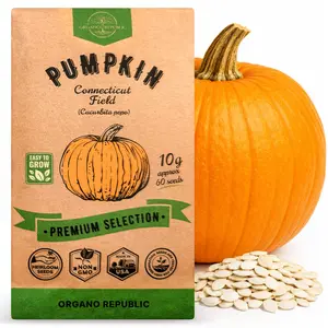 Pumpkin Connecticut Field Seeds Pack 10G