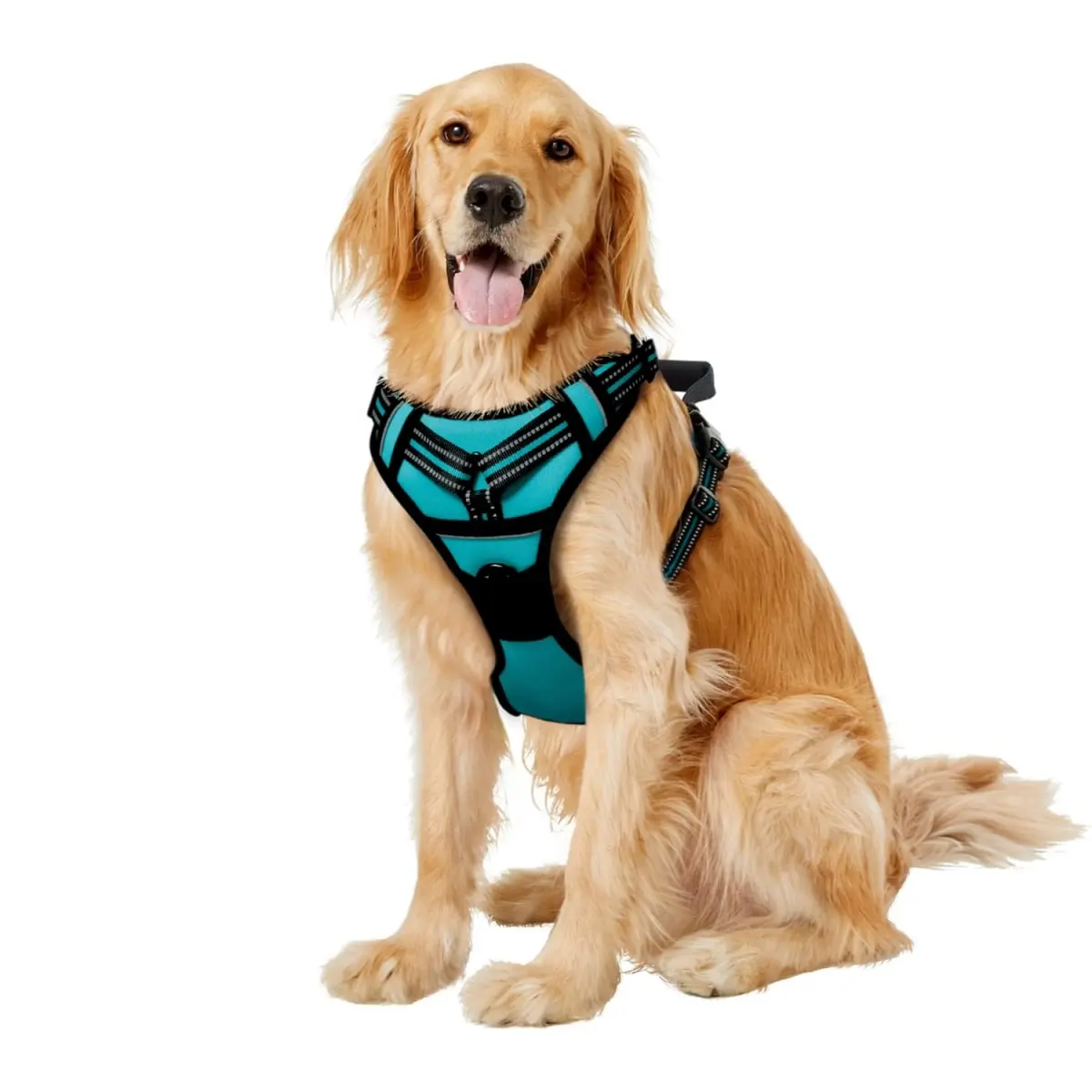 GOOPAWS GDH-2132BU GOOPAWS Padded Reflective Dog Harness, Easy Control Lightweight Dog Harness, Adjustable Outdoor Pet Harness for Small Medium Large Dogs