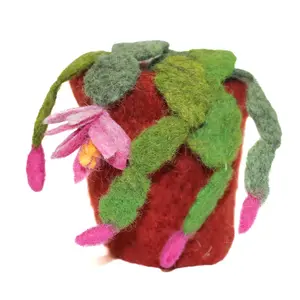 Felting Kit - Christmas Cactus Kit