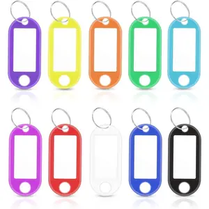 50 Pack Plastic Key Tags with Blank Paper Labels & Transparent Window & Split Ring Key Rings with Label Assorted Colors Key Id Label Tag Key Chain Tags Key Identifiers for Luggage Name (10 Colors)