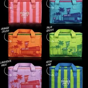 Trader Joe’s 2026 Summer Eco-Friendly Mini Insulated Lunch Tote Bags, New With Tags (NWT)