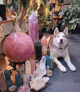 linda's purchase link