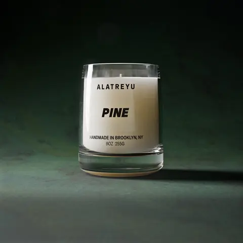 Pine Scented Candle, Pine Sap, Oakmoss and Caramel, The Smell of a Crisp Winter Forest, Hand-Poured Soy Wax Candle, Pay What You Can
