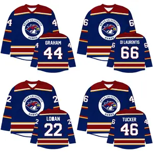 Off Campus Briar University Hockey Jersey, Graham 44 22 DI LAURENTIS 66 Tucker 46 Print Shirt, Cosplay Hockey Romance Shirt