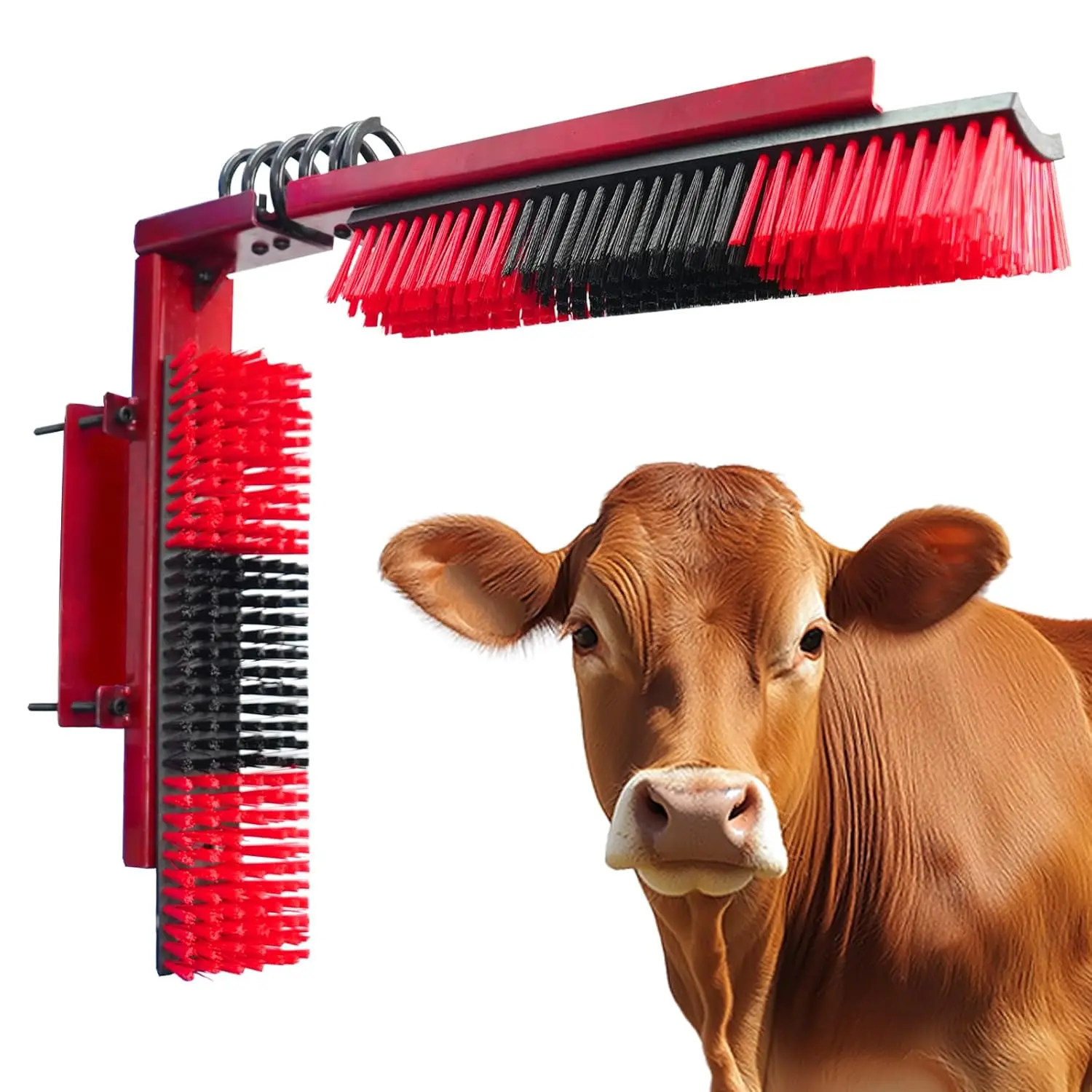 Livestock Scratch Brush With Spring Iron Holder,Animal Back Scratching ...
