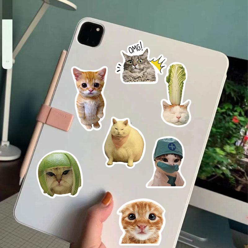 50/100pc Funny Cat/Puppy Meme Sticker Pack For Pets Lover. Vinyl Waterproof Stickers for Book Phone Laptop Water Bottle. Fun Craft Stickers for Scrapbooks, Planners, Gifts and Rewards. Cute Gifts for Girls Kids Teens Adults.