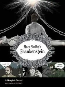 USED-Frankenstein: a Graphic Horror Novel by Mary Shelley (Unknown)