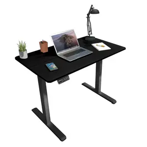 Mount-It! 48" Electric Standing Desk – Compact Ergonomic Sit-Stand Workstation with Adjustable Height