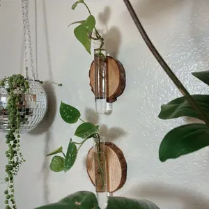 Hanging wooden wall propagation station