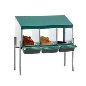 3 Hole Chicken Nesting Box With Legs And Lid Green Gravity Roll Egg Collection 5 Degree Angled Floor For Backyard Coop Or Farm