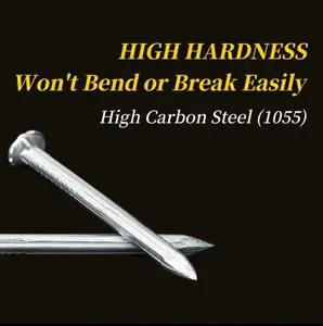 Galvanized Concrete Set 300PC for PictureHanging and Carpentry Use on Drywall and Pinein 3 Sizes Self-Drilling Stainless