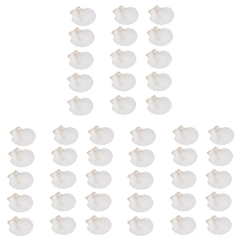 45 PCS Natural Sea Shell Large White, 4-4.7 Inch Scallop Shells for DIY Craft, Serving Food, Baking and More