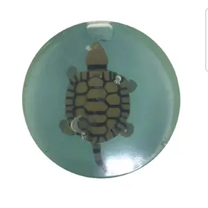 Kids – Clear Natural Bar with Toy Inside (Turtle Collection) – Fun Bath Gift, Mango Scented, Paraben & Chemical Free, Gentle Face & Body Soap – 4.2 oz