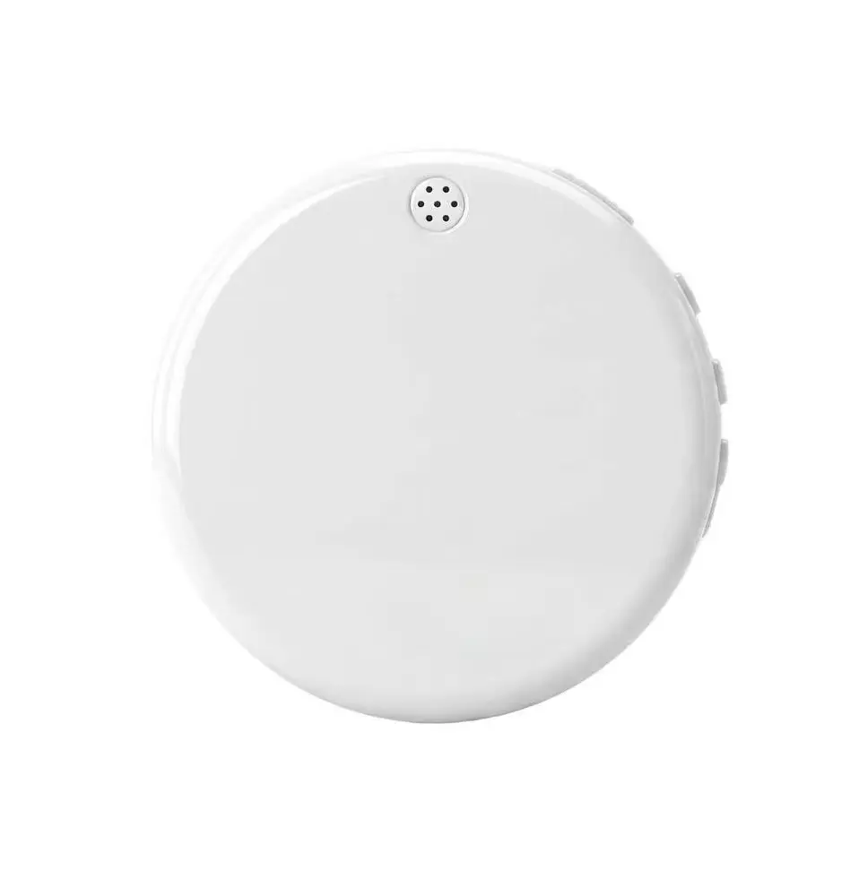 Smart Wearable Bluetooth Translator Device - Wireless Electronic Learning Device with Built-in Cells, 165 Multi-Language Support, Foreign Language Practice Partner