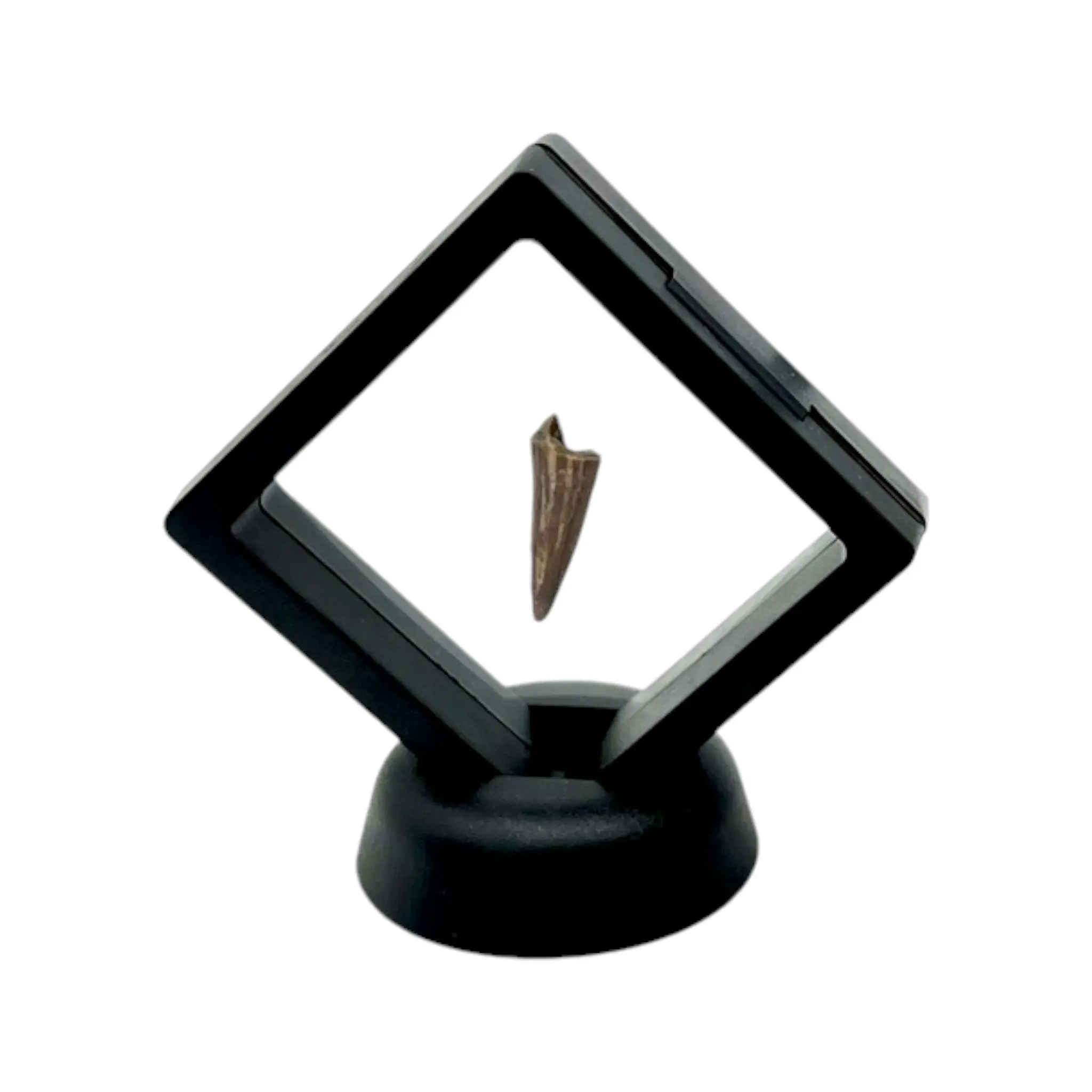 Square Floating Display Case - Showcase Collectibles