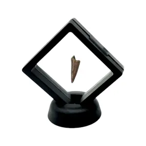 Square Floating Display Case - Showcase Collectibles