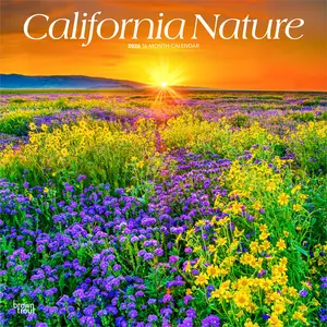 California Nature | 2026 12 x 24 Inch (Hanging) Monthly Square Wall Calendar | Plastic-Free | BrownTrout | USA United States of America Pacific West State