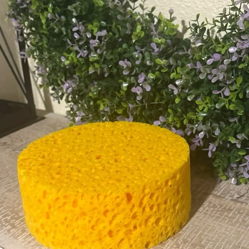New-Style Large Honeycomb Fabric ASMR Cheese Sponge